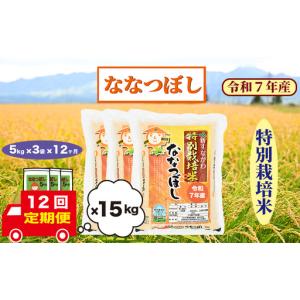 ふるさと納税 【定期便12回】北海道奈井江町　特別栽培米　ななつぼし　15kg 北海道奈井江町