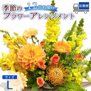 ふるさと納税 【12回定期便】 季節のフラワーアレンジメント （L） | 発送月固定 花 京都府綾部市