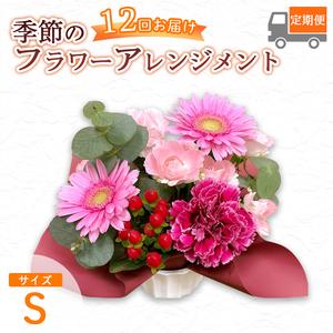 ふるさと納税 【12回定期便】 季節のフラワーアレンジメント （S） | 発送月固定 花 京都府綾部市