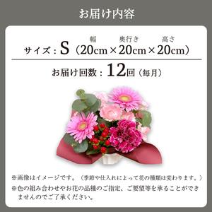 ふるさと納税 【12回定期便】 季節のフラワー...の詳細画像3