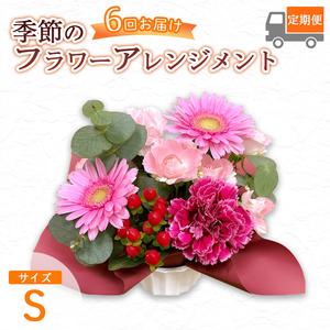 ふるさと納税 【6回定期便】 季節のフラワーアレンジメント （S） | 発送月固定 花 京都府綾部市