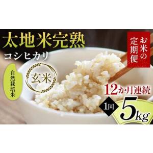 ふるさと納税 【先行予約】お米の定期便 自然栽培米 太地米完熟 【こしひかり】 玄米5kg×12か月連続 ブランド米 お米 人気 F7X-0771 福島県須賀川市