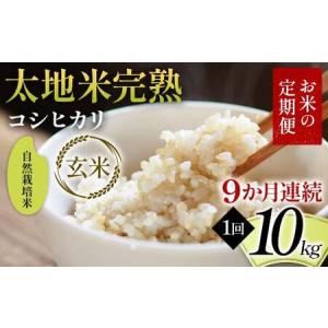 ふるさと納税 【先行予約】お米の定期便 自然栽培米 太地米完熟 【こしひかり】 玄米10kg×9か月連続 ブランド米 お米 人気 F7X-0778 福島県須賀川市