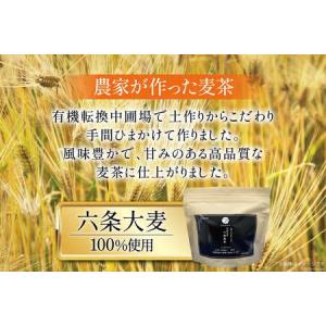 ふるさと納税 お茶 六条麦茶 ( 10g 20...の詳細画像1