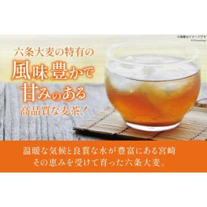 ふるさと納税 お茶 六条麦茶 ( 10g 20...の詳細画像2