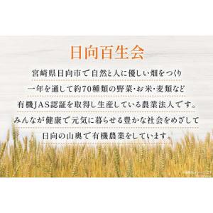ふるさと納税 お茶 六条麦茶 ( 10g 20...の詳細画像4