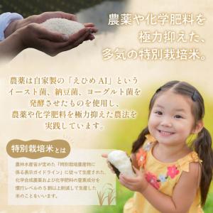 ふるさと納税 【12月中旬発送】令和8年産 特...の詳細画像3