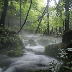 ふるさと納税 栃木県塩谷町で製造 ばんのう酵母...の詳細画像4