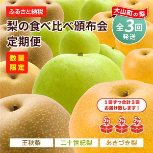 ふるさと納税 DS-11　梨の食べ比べ頒布会（二十世紀梨・あきづき梨・王秋梨） 鳥取県大山町