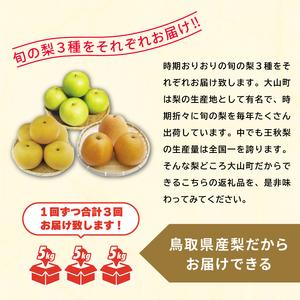 ふるさと納税 DS-11 梨の食べ比べ頒布会(...の詳細画像1