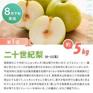 ふるさと納税 DS-11 梨の食べ比べ頒布会(...の詳細画像2