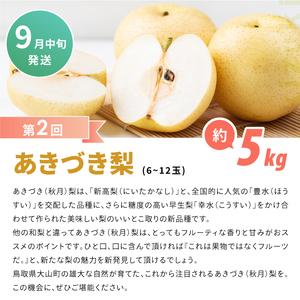 ふるさと納税 DS-11 梨の食べ比べ頒布会(...の詳細画像3