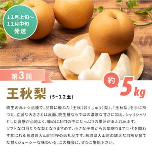 ふるさと納税 DS-11 梨の食べ比べ頒布会(...の詳細画像4