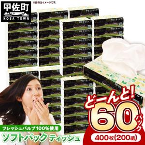 ふるさと納税 ティッシュペーパーソフトパック　４００枚（２００組）６０パック - ティッシュ ペーパー 日用品 備蓄 防災 ストック 熊本県 甲.. 熊本県甲佐町