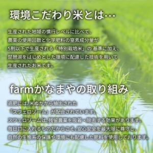 ふるさと納税 新米 令和8年産 にじのきらめき...の詳細画像1