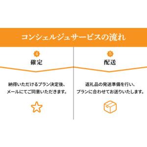 ふるさと納税 【高槻市コンシェルジュ】寄附額1...の詳細画像3