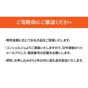 ふるさと納税 【高槻市コンシェルジュ】寄附額1...の詳細画像4