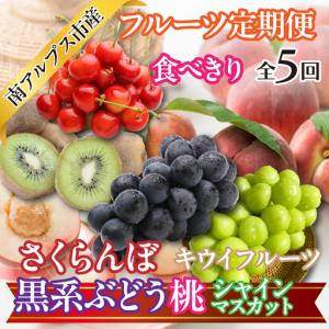 ふるさと納税 ★【食べきり】新鮮！旬のフルーツ5回定期便〈くだもの　フルーツ　さくらんぼ、桃、黒系ぶどう　ピオーネ　ブラックビート.. 山梨県南アルプス市