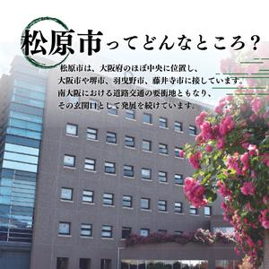 ふるさと納税 メンズ レザーサンダル 茶 LL...の詳細画像4