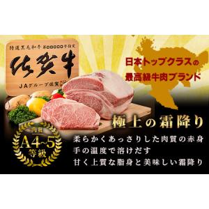 ふるさと納税 【定期便10カ月配送】佐賀牛ヒレ...の詳細画像1