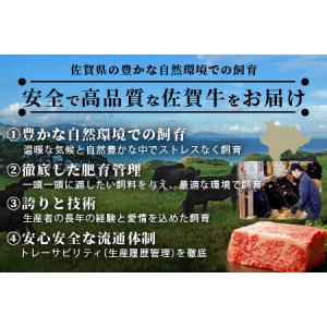 ふるさと納税 【定期便10カ月配送】佐賀牛ヒレ...の詳細画像2