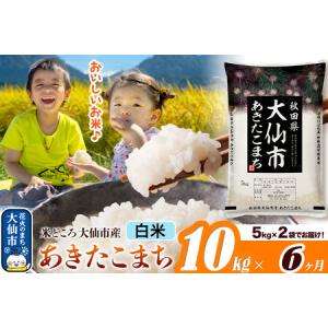 ふるさと納税 米《定期便6ヶ月》あきたこまち【白...の商品画像