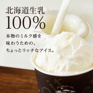 ふるさと納税 【定期便12ヶ月】リッチアイスク...の詳細画像1