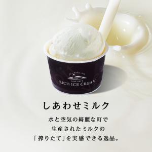 ふるさと納税 【定期便12ヶ月】リッチアイスク...の詳細画像3
