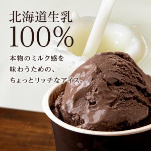 ふるさと納税 【定期便12ヶ月】リッチアイスク...の詳細画像1