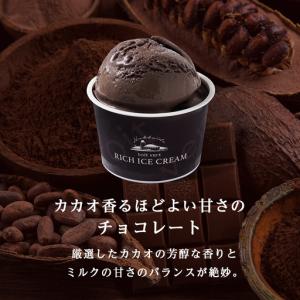 ふるさと納税 【定期便12ヶ月】リッチアイスク...の詳細画像3