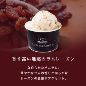 ふるさと納税 【定期便12ヶ月】リッチアイスク...の詳細画像3