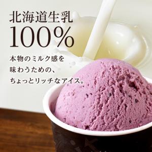 ふるさと納税 【定期便12ヶ月】リッチアイスク...の詳細画像1
