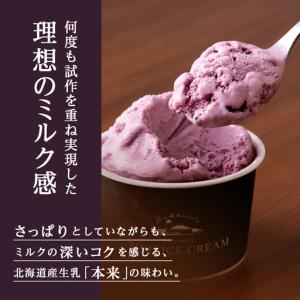 ふるさと納税 【定期便12ヶ月】リッチアイスク...の詳細画像2