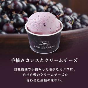 ふるさと納税 【定期便12ヶ月】リッチアイスク...の詳細画像3