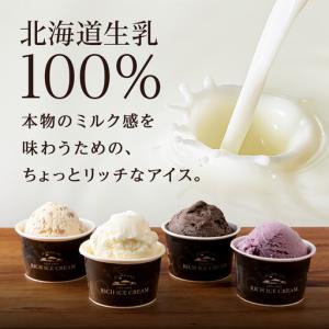 ふるさと納税 【定期便12ヶ月】リッチアイスク...の詳細画像1