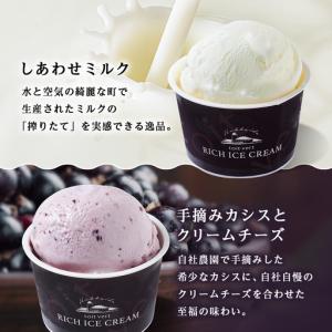 ふるさと納税 【定期便12ヶ月】リッチアイスク...の詳細画像3