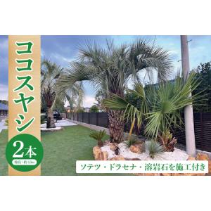 ふるさと納税 ココスヤシ 幹高約1.5m２本・ソテツ・ドラセナ・溶岩石【施工込み】 ヤシの木 ヤシ リゾート ガーデン 自宅 別荘 南国 庭木 観葉植.. 茨城県大洗町