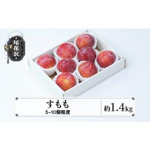 ふるさと納税 先行予約 すもも 秋姫 秀品 約1.4kg (5~10個程度) 令和8年産 sb-plahx1400-b 山形県尾花沢市