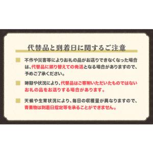 ふるさと納税 【先行予約】フルーツ定期便 全3...の詳細画像1