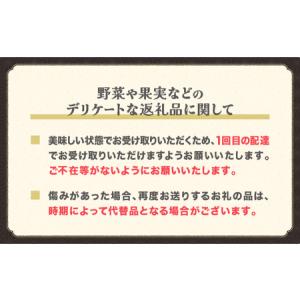 ふるさと納税 【先行予約】フルーツ定期便 全3...の詳細画像2