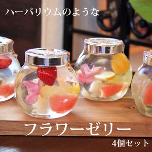 ふるさと納税 ハーバリウム風 フラワーゼリー 4個 セット | ゼリー スイーツ おやつ ギフト プレゼント 贈り物 長野県 飯田市 信州 長野県飯田市