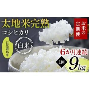 ふるさと納税 【先行予約】お米の定期便 自然栽培米 太地米完熟 【こしひかり】 白米9kg×6か月連続 ブランド米 お米 精米 白米 人気 F7X-.. 福島県須賀川市
