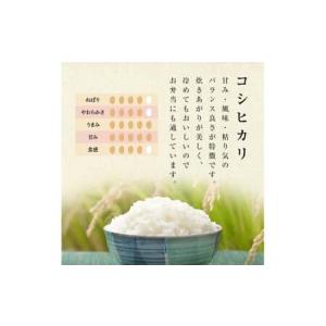 ふるさと納税 【先行予約】お米の定期便 自然栽...の詳細画像4