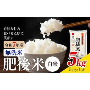 ふるさと納税 熊本県産 肥後米 無洗米 白米 5...の商品画像