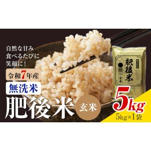 ふるさと納税 熊本県産 肥後米 無洗米 玄米 5...の商品画像
