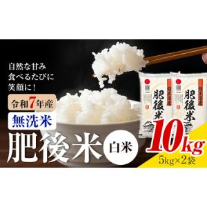 ふるさと納税 熊本県産 肥後米 無洗米 白米 1...の商品画像