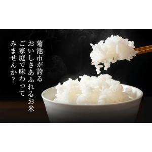 ふるさと納税 熊本県産 肥後米 無洗米 白米 ...の詳細画像4
