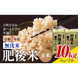 ふるさと納税 熊本県産 肥後米 無洗米 玄米 1...の商品画像