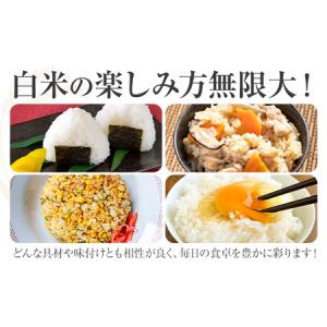 ふるさと納税 熊本県産 肥後米 無洗米 白米 ...の詳細画像3