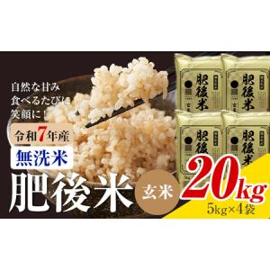 ふるさと納税 熊本県産 肥後米 無洗米 玄米 2...の商品画像